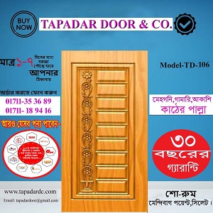 Solid biscuit Design door, Model-TD-106